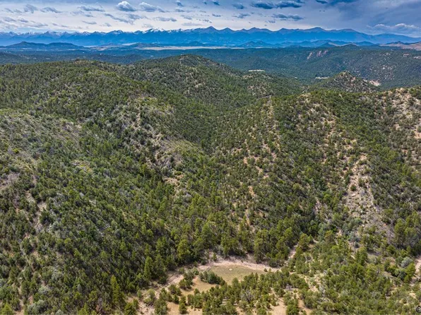 16 McClure Gulch Rd, Cotopaxi, CO 81223