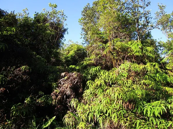 Plumeria St Lot 6645, Mountain View, HI 96771