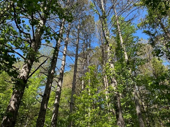 0 Highway 11 Tract #3, Red Bay, AL 35582
