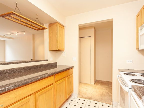 2019_2_19_431_S_Dearborn_Unit_1007_5