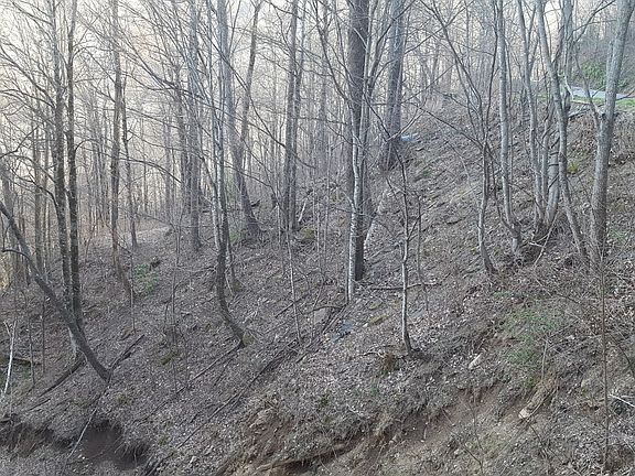 5th image of Winding Creek Dr