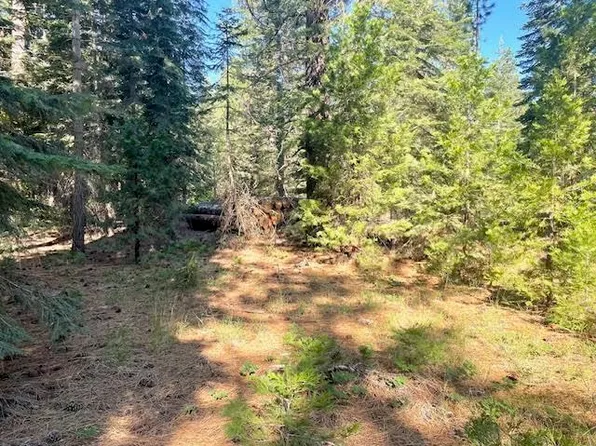 9 S Old Stage, Weed, CA 96094