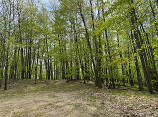 9780 Alamo Ct, Stanwood, MI 49346