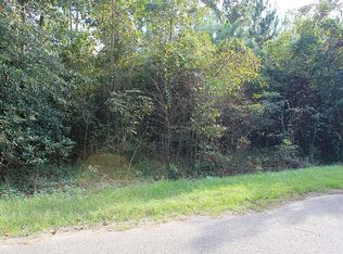 16891 W Ivanhoe, Montgomery, TX 77316