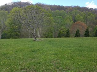 122 Duck Branch Rd, Roan mountain, TN 37687