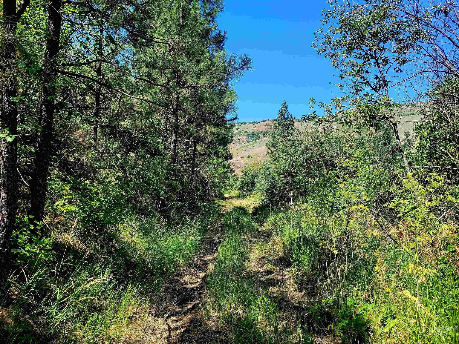 Redberry Ln, Juliaetta, ID 83535 MLS 98882045 Zillow