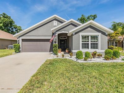 13147 Precept Way, Hudson, FL, 34669