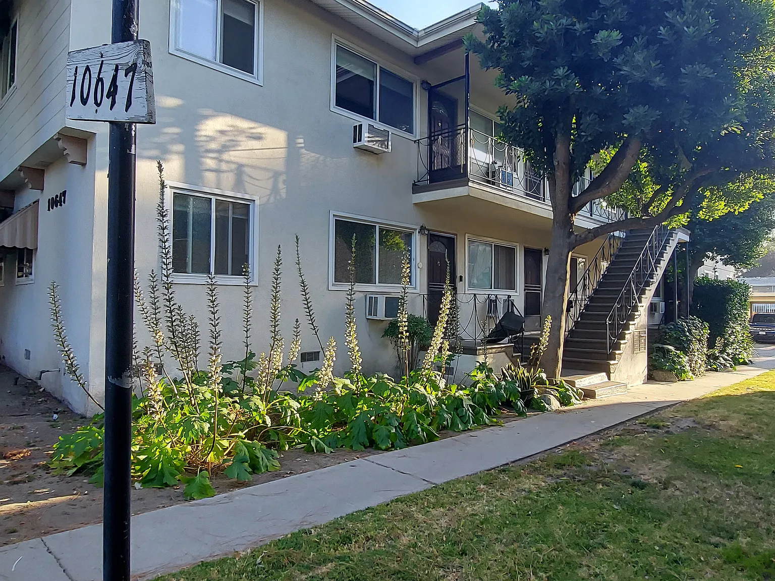 1 bed, 650 sqft, $1,650 — Photo 1
