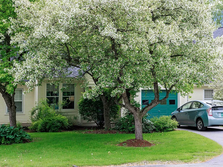 43 Eastman Farm Rd — Photo 25