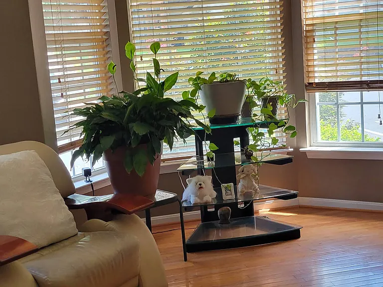 13704 Harvest Glen Way #2 — Photo 31