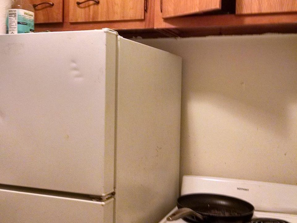 2nd image of 582 Rosanne Ln APT 33