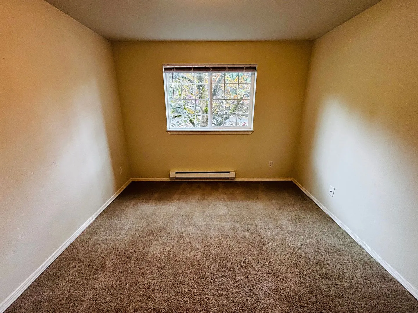Warm & Cozy 2 Bedroom Condo for Rent in Everett — Photo 4