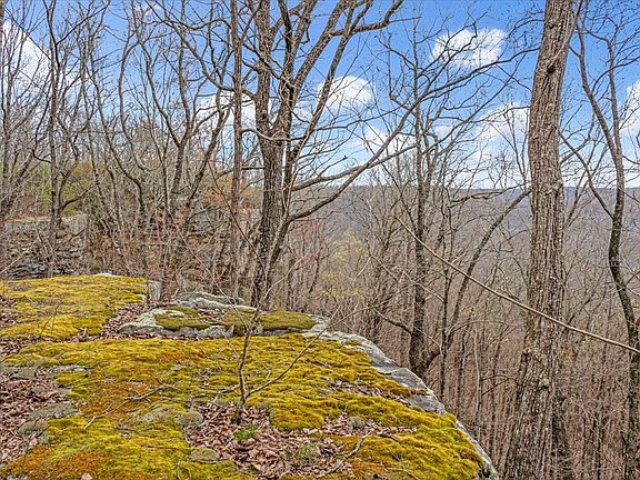 5th image of 558 Hanging Rock Dr