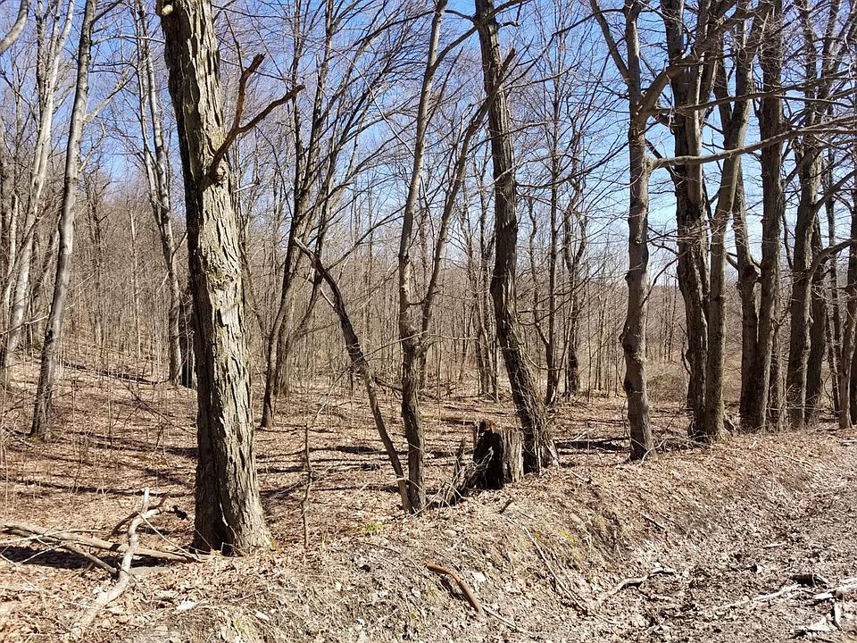 2nd image of 658 Bliven Coye Hill Rd