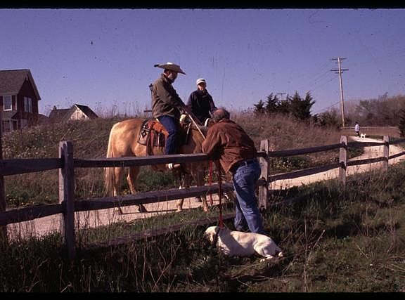 Over 10 Miles Of Trails