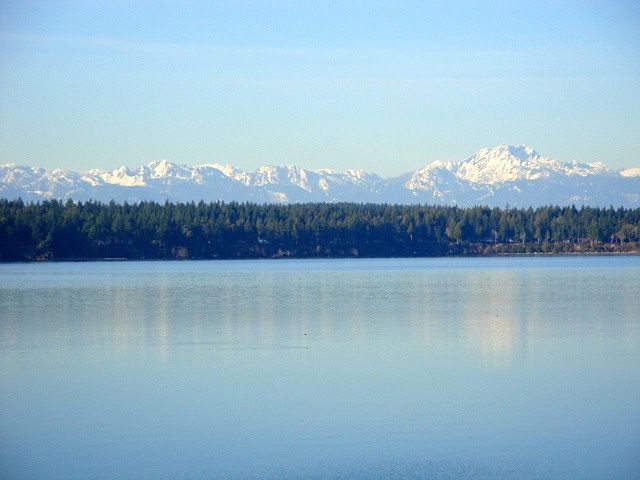 Olympic Mt views