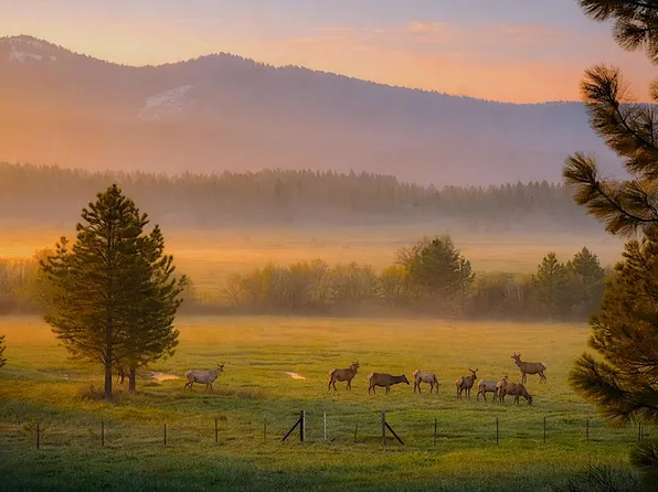 1217 Elo Rd, McCall, ID 83638