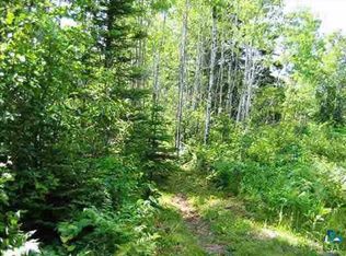 NULLD Blesner Lake Rd, Finland, MN 55603