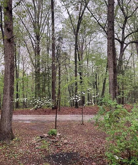 2212 Old Kearney Rd — Photo 10