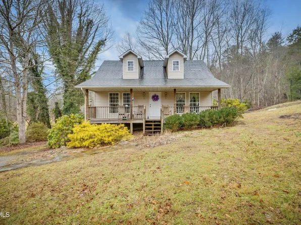 107 Beech Ln, Roan Mountain, TN 37687