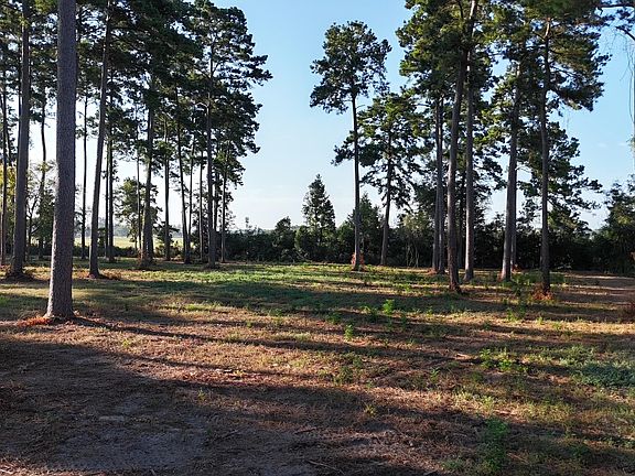 4th image of 863 County Road 173