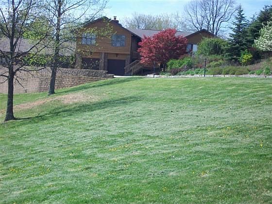 1st image of 441 Chichester Ln