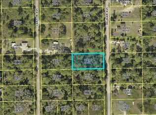 2007 Truman Ave, Alva, FL 33920