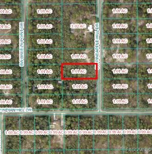 SW Pineapple Hill Dr, Dunnellon, FL, 34431