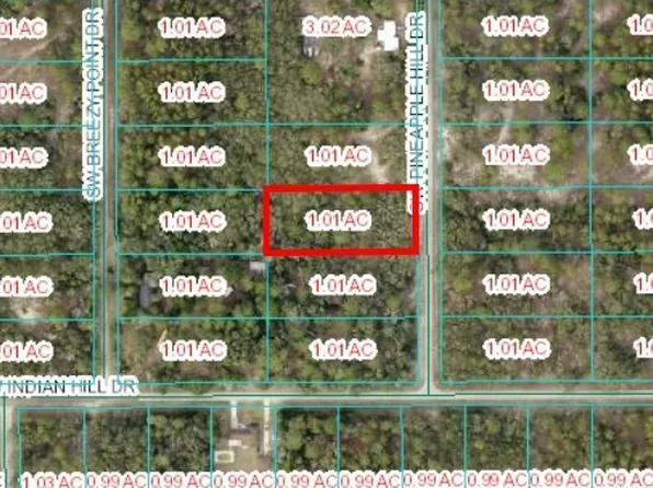SW Pineapple Hill Dr, Dunnellon, FL 34431