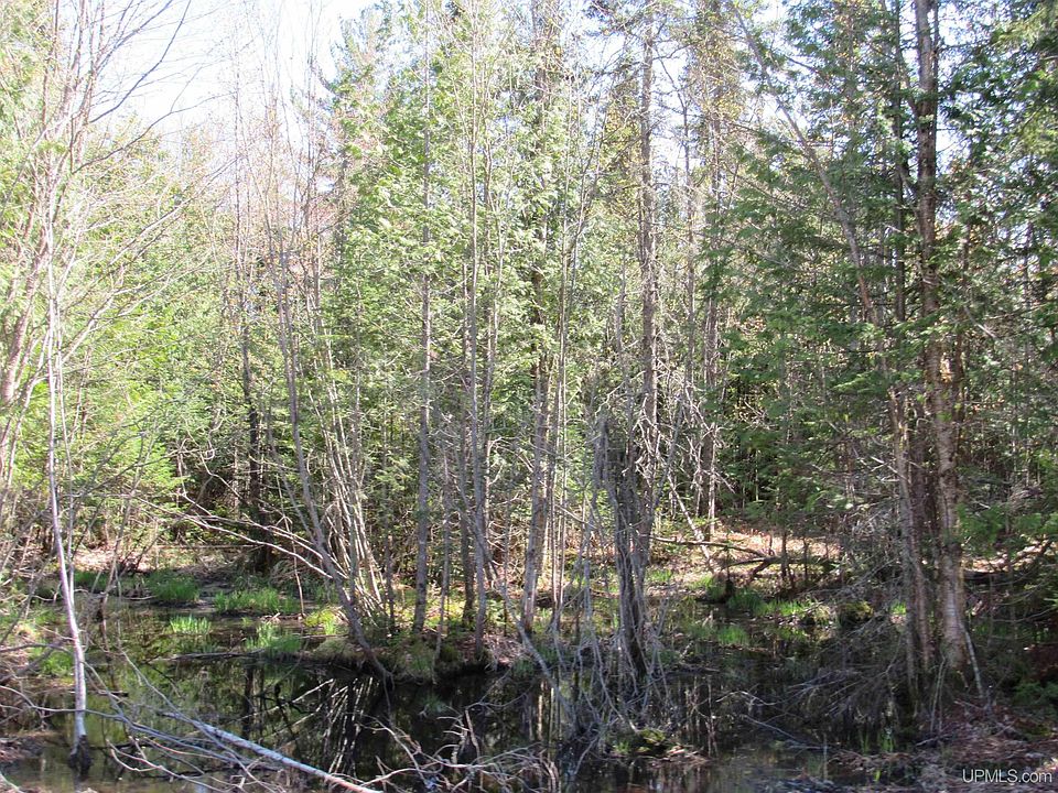 2nd image of Rice Lake Road Just West Of #31959