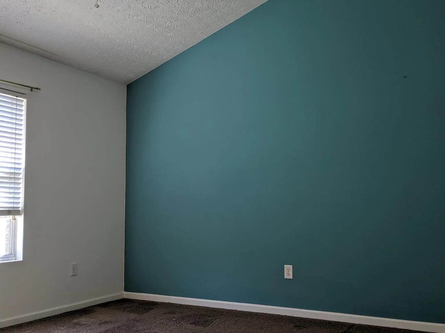 3 bed, 1100 sqft, $2,200 — Photo 3