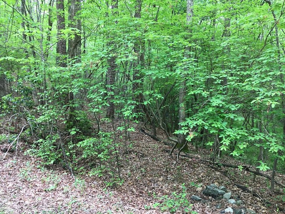 2nd image of 7511 Beachwood Dr Lot 11