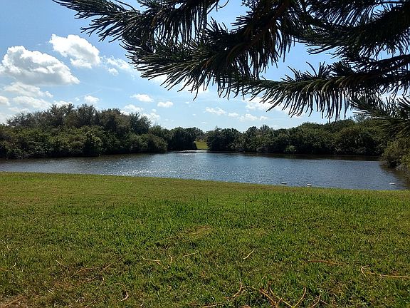 Setting under the pine tree.
