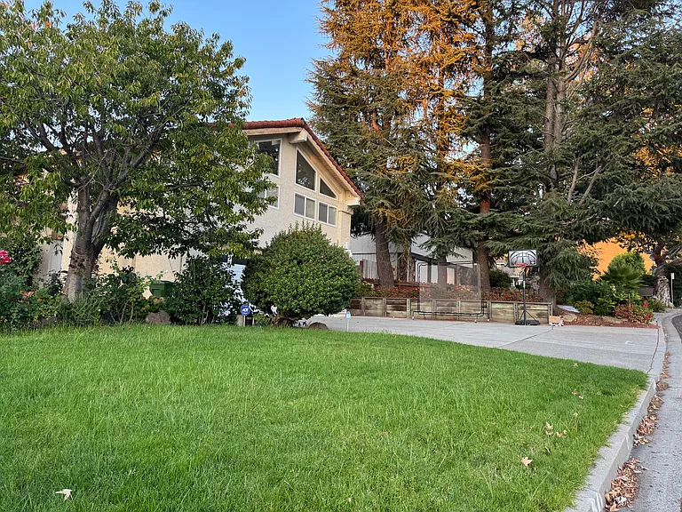 front yard