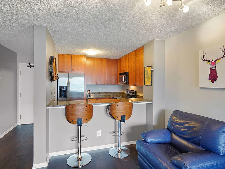 401 S 1st St #603 — Photo 6