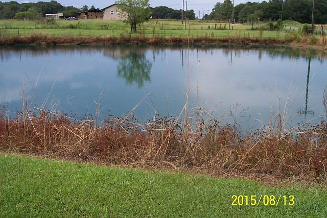2nd image of 169 Tommy Meredith Rd