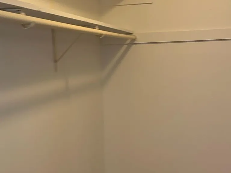 Master bedroom walk in closet #2