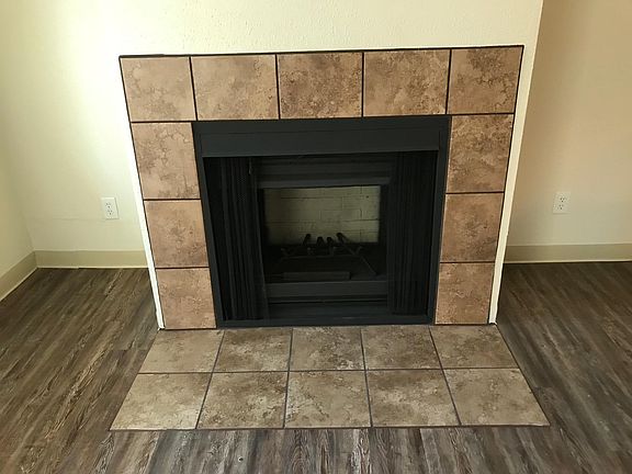 Wood-burning fireplace