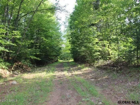L46,47,15 STATE ROUTE 28, Wevertown, NY 12886