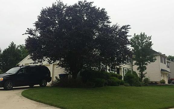 3rd image of 46 Flemish Way