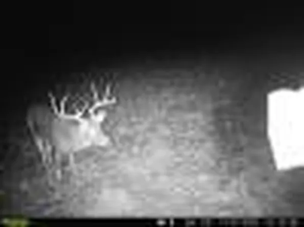 1190311905 County Road 7070, West Plains, MO 65775