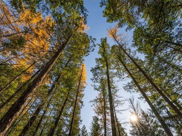 150 & 156 Peters Creek Way, Kalispell, MT 59901