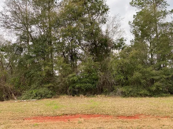 0 S Ga Pkwy, Richland, GA 31825