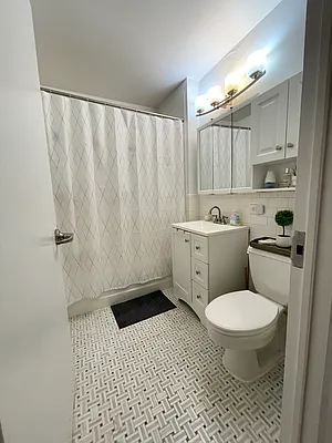 Rented by NY Living Solutions | media 27