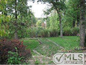 WOODS BEHIND BACKYARD