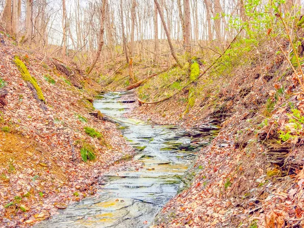 0 Turkey Ridge Rd, South Salem, OH 45681