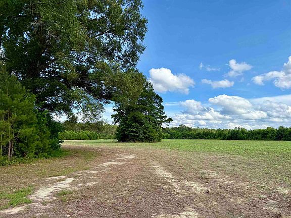 5th image of 85± Acres - Muddy Creek Rd.