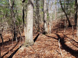 River Rd, Mineral bluff, GA 30559