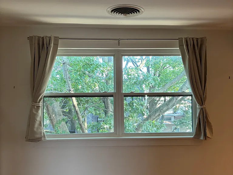 Gorgeous tree view from living room window.