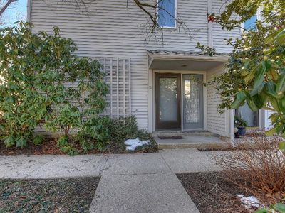 5 Apple Mew #5, Sandwich, MA, 02563